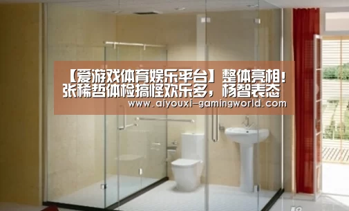 爱游戏体育APP