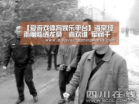 爱游戏体育APP