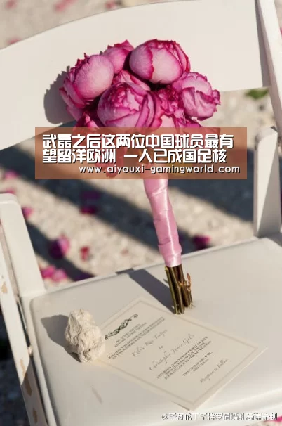 武磊之后这两位中国球员最有望留洋欧洲 一人已成国足核心主力‘爱游戏体育娱乐平台’(图1) 爱游戏亚洲体育