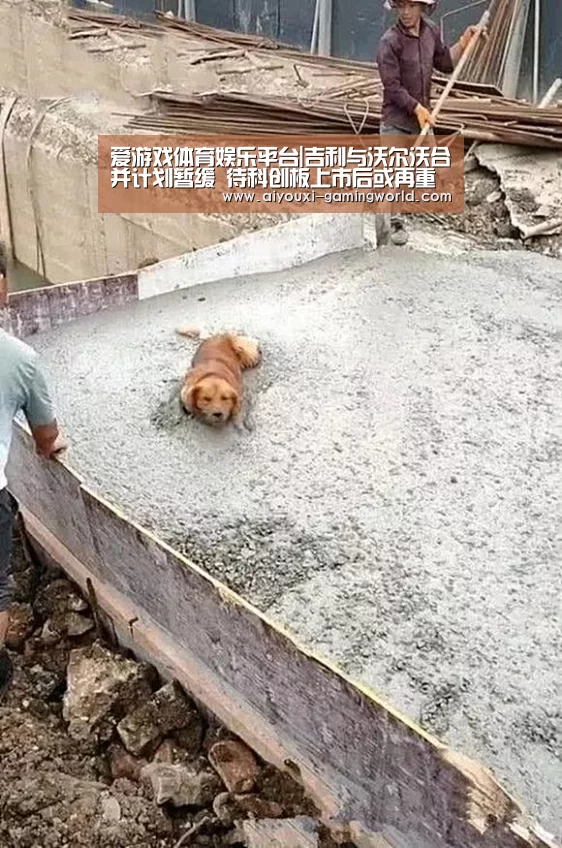爱游戏体育娱乐平台|吉利与沃尔沃合并计划暂缓 待科创板上市后或再重启(图2) 爱游戏亚洲体育